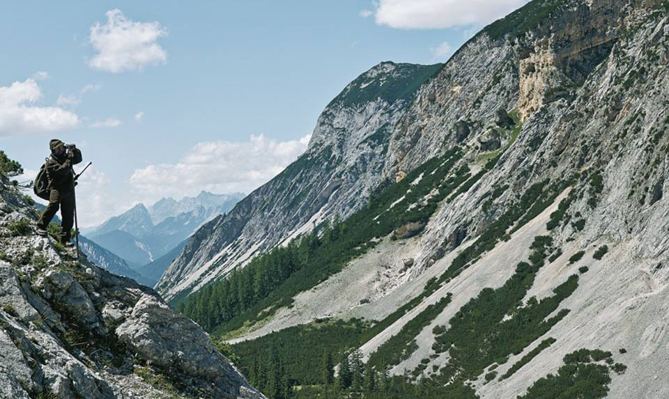 气体探测器的使用注意事项
                                            style=
